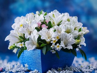 蓝色花瓶中的白色花朵