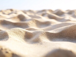 沙丘的近距离视角