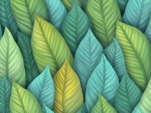 绿色树叶的密集生长