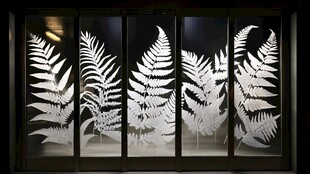蕨类植物玻璃艺术