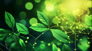 绿色科技 自然之力