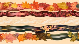 秋日之美 自然之韵