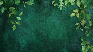 绿色背景上的自然叶子纹理