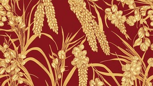 红色背景上的金色稻穗图案