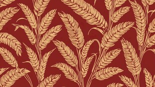小麦图案红色背景