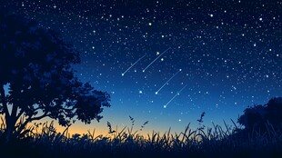 流星雨中的宁静夜晚