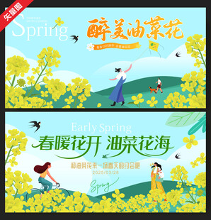 油菜花