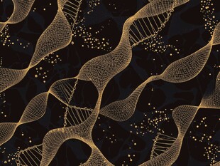 金色网状结构在黑色背景上的抽象图案