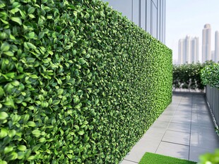 城市中的绿色隐私屏障