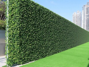 城市中的绿色隐私屏障