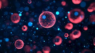 细胞世界的微观宇宙