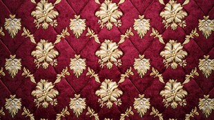 奢华红金刺绣布料