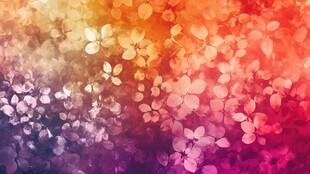 五彩斑斓的花海