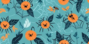 蜘蛛与南瓜的神秘舞蹈