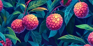 荔枝盛宴