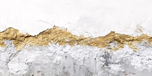 金色与灰色的风景