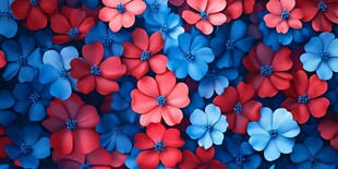 红蓝花海