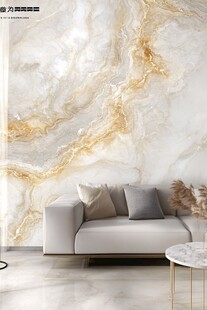 现代客厅大理石纹背景墙