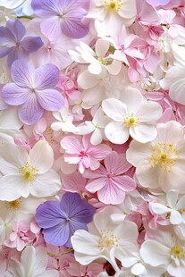 绚烂花海