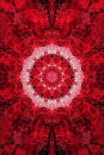 红色曼陀罗