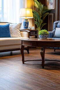 现代家居室内设计