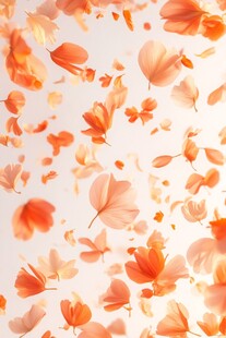 橙色花瓣的飘逸之舞