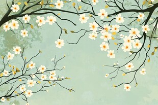 春日里 樱花盛开