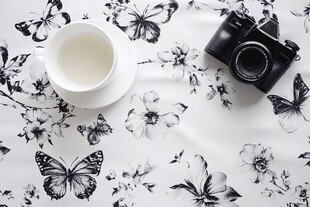 黑白蝴蝶花纹桌布上的静物摄影
