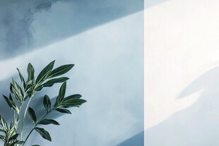 植物与墙的和谐共生