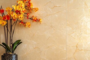 黄色蝴蝶兰与大理石纹理背景