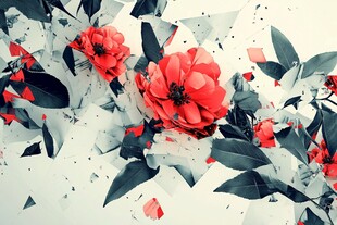 破碎的美丽