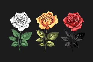 黑暗中的玫瑰三重奏