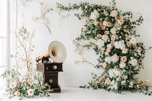 复古音乐与自然之美