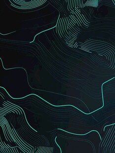 抽象的数字地形图