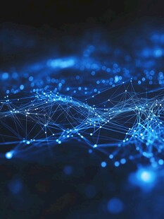 数字化转型的复杂网络