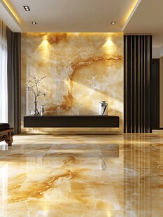 豪华室内设计 marble walls and floors