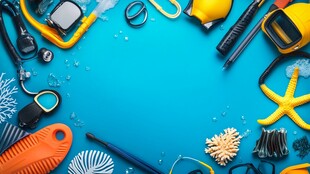 潜水装备与海洋生物