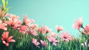 春日浪漫 粉色之约