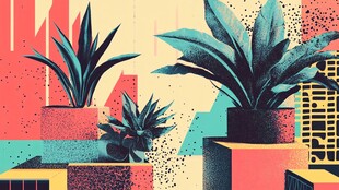抽象植物几何构图