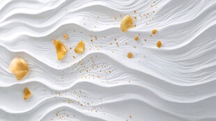 金色贝壳在白色波浪背景上