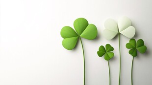 四叶草的艺术之旅