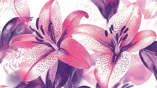 粉紫百合花卉图案