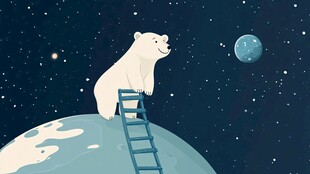 北极熊的星空之旅