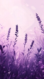 紫色田野的宁静之美