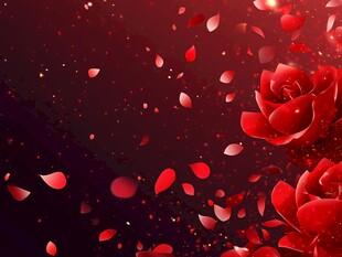红玫瑰与飘落的花瓣