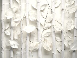 白色森林的艺术表现