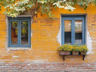 黄砖墙上的两扇窗