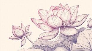 线条绘制的荷花