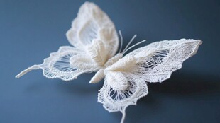 蝴蝶形状的白色蕾丝装饰品