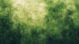 绿色毛皮纹理背景